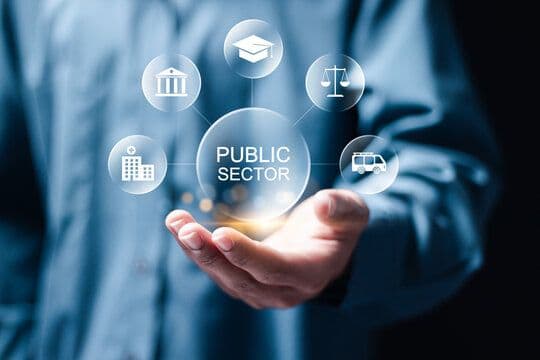 Government & Public Sector